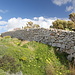 Unterwegs vom Wachturm (It-Torri tal-Ħamrija / Tal-Ħamrija Tower) in  Richtung Ħaġar Qim - Ein Wanderweg, der sogenannte "nature trail A", führt hier entlang einer schönen Trockenmauer.