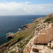 Unterwegs zwischen Mnajdra und Għar Lapsi (Rückweg) - Ausblick unweit von Mnajdra hinunter an die Mittelmeerküste. Während wir auf dem Hinweg entlang der Küste gelaufen sind, verläuft unser Rückweg oberhalb der Felsen. Im Hintergrund sind die Gebäude der Meerwasserentsalzungsanlage zu sehen, bei der wir später vorbei kommen werden. Etwas weiter vorn befindet sich Għar Lapsi mit einigen benachbarten Häusern.
