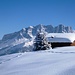 Schweizertor und Drusenfluh im allerschönsten Wintergewande