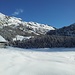 Dall'Alpe