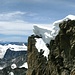 Der Gipfel des Ober Gabelhorn