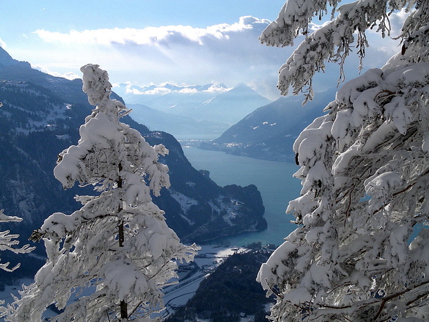 Blick durch die mit Schnee behangenen Bäume auf den Brienzersee und die Niesenkette