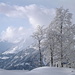 filigrane Bäume und hinten in den Schneewolken das Brienzer Rothorn 