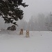 2 "Schneebären" waren von den Verhältnissen aber schwer begeistert!