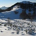 Poco sopra all'Alpe Spessola