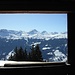 Blick aus dem Kuhstall der Alp Oberberg (da möchte man doch fast Kuh sein)