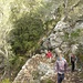 der nur mit Steinmännchen bezeichnete Aufstieg zum Puig de ses Covasses