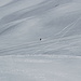 ein einsamer Skiläufer zieht seine Spur in den jungfräulichen Schnee