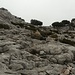 Aufstieg auf na Franquesa, irgendwelche von den Steinen sind die Steinmännchen