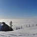 Nebelmeer beim Plateau
