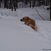 Luca als Schneepflug....