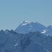 Ortler