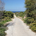 Unterwegs auf dem Marfa Rigde - Von der "Hauptstraße", die bis zum östlichen Zipfel der Halbinsel führt, ziehen einige Stichstraßen hinunter zur Nordküste des Marfa Rigde. Wir sind hier auf dem östlichsten Stichweg unterwegs, dieser führt uns in Richtung Il-Ponta ta' l-Aħrax / Ahrax Point.