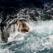 Il-Ponta ta' l-Aħrax / Ahrax Point - "Wasserspiele 2". 