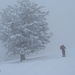 Nenzingerberg, leichter Schneefall und Nebel über 1200m 