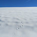 Spuren überall - im Schnee und am Himmel