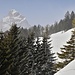 fast nicht zu erkennen: der Mythen
