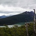 Erster Blick über den Lago Roca- beim Aufstieg auf den Cerro Guanaco - die Baumgernze ist schon bald erreicht, obwohl der See fast auf Meeresspiegel liegt.