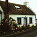 Bangor con le sue case dalle imposte colorate e circondate da fiori.