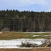 Furtbüel (740,9m) - ein verdrahteter Hügel.