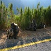 Auf dem Weg zu den Hex River Mountains: Baboons am Wegesrand sind keine Seltenheit