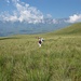 Gediegenes Wandern in toller Natur