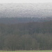 Im Zoom : Oberhalb von 300m sind die Baumwipfel im Deister (405m) tief verschneit.