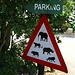Ankunft im Hluhluwe-Imfolozi Park