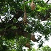 Vogelhäusschen selfmade