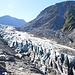 Aussicht auf den Gletscher vom Ende des öffentlich zugänglichen Besucherwegs.