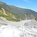Ausblick über die Gletscherzunge ins bewaldete Tal.