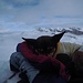 La mitica Suni in vetta al Grosshorn riposa tranquilla!