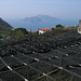 Blick von Termini auf Capri