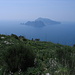 Blick auf Capri