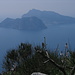 Blick auf Capri