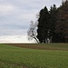 Entre Frauental et Knonau