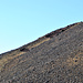 Kurzer Aufstieg zum Kraterrand des Saxhóll.