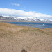 Weißer Sandstrand in Island ist eine Rarität.
