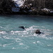 23.02.2013: Visperi vor der Baltschieder-Brücke