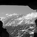Ara: Blick durch ein Loch in der Stallmauer