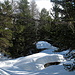 oberhalb vom Schneeschuhtrail Bodmeri 1
