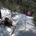Schneeschuhtrail Bodmeri 2