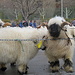 09.03.2013: SN-Widdermarkt  in Visp: Streithammel