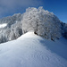 Ein Wintertraum am Schnebelhorn