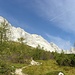 Civetta Nordwestwand ist wahrscheinlich die größte Felswand der Dolomiten, mit einer max Höhe von 1200 m und einer Länge von etwas 4 km.Hier die große Ostmauer  der Eule(?) ist auch wirklich gewaltig.