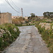 Unterwegs zwischen Baħrija und Wied il-Baħrija - Bei regnerischem Wetter führt der erste Abschnitt unserer Wanderung westlich des Ortes vorbei an Gärten, Feldern und einzelnen Gehöften.