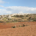 Unterwegs oberhalb der Klippen von Rdum tal-Vigarju - Ausblick nach Baħrija aus etwa südwestlicher Richtung.