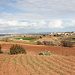 Unterwegs oberhalb der Klippen von Rdum tal-Vigarju - Ausblick auf landwirtschaftlich genutzte Flächen westlich von Baħrija. Im Hintergrund ist auch die Insel Gozo zu erkennen.