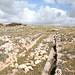 Unterwegs auf der Hochfläche bei Tal-Merħla - Am Wegrand. Ähnlich wie an vielen Stellen auf Malta ist auch hier eine Art "Fahrbahn" in den Fels eingearbeitet. Ggf. handelt es sich dabei auch um "Cart Ruts"?