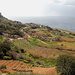 Im Abstieg nach Miġra l-Ferħa - Ausblick über landwirtschaftlich genutzten Flächen. Über die teils sichtbare Straße gehen wir nun hinunter in Richtung Küste.